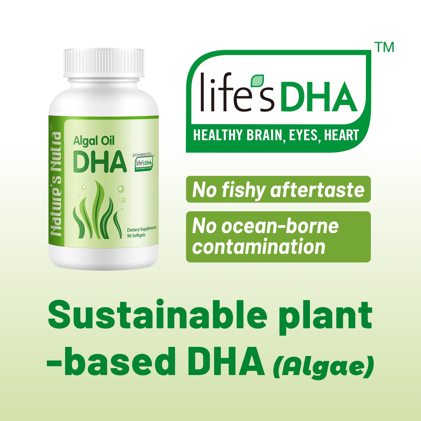 Algal Oil DHA Softgel